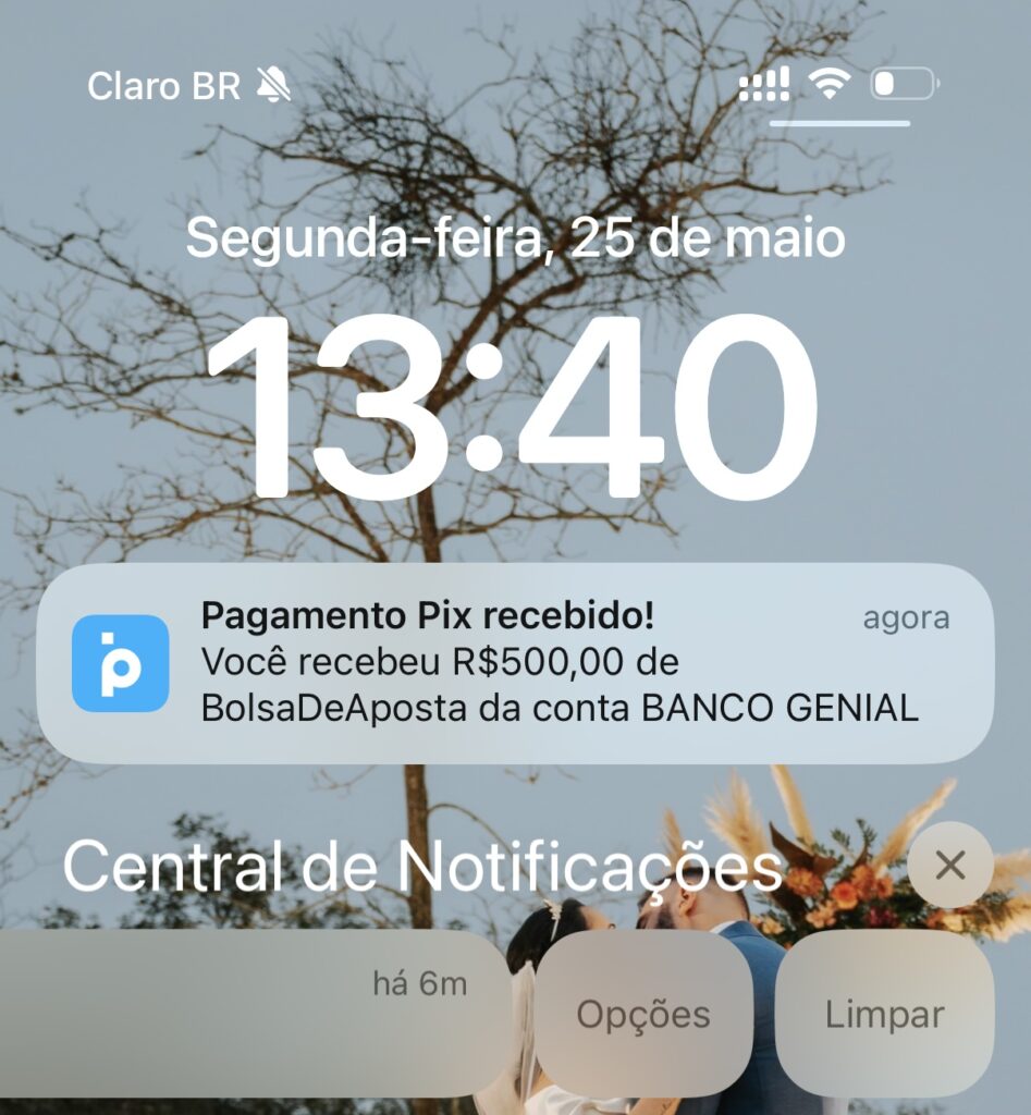bolsa de apostas paga mesmo